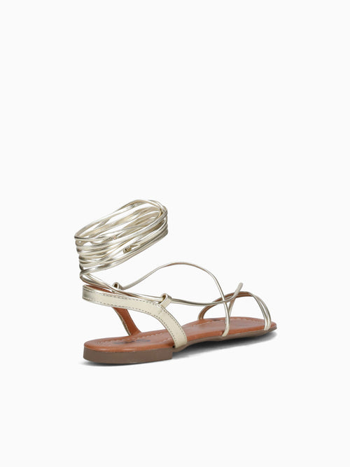 Molly Dourado Gold / 5 / M