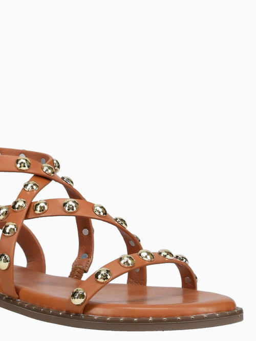 Valentina Brown Smooth Brown / 5 / M