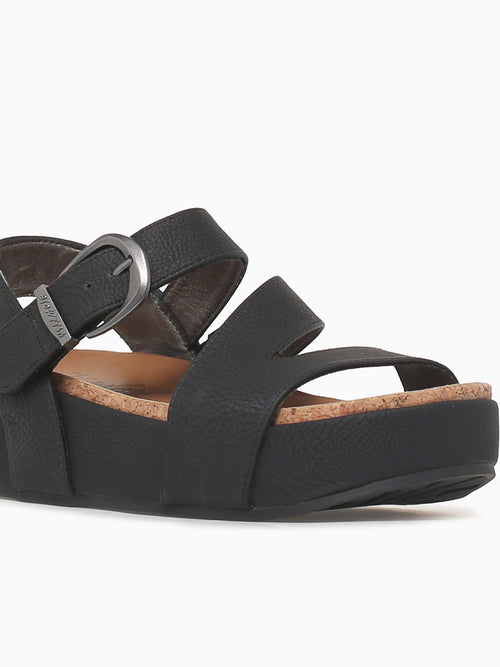 Isabel Black Black / 6 / M