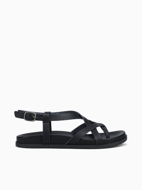Camden Black Black / 6 / M