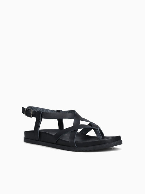 Camden Black Black / 6 / M