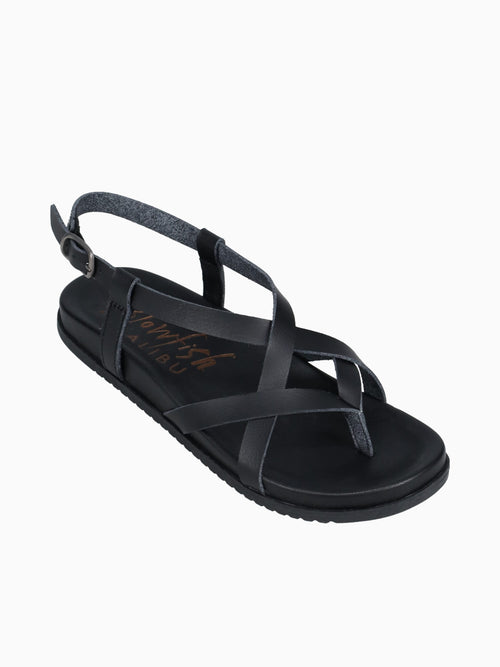 Camden Black Black / 6 / M