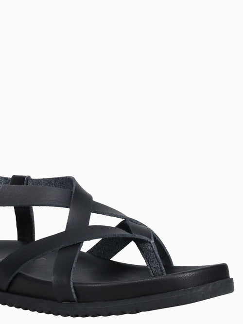 Camden Black Black / 6 / M