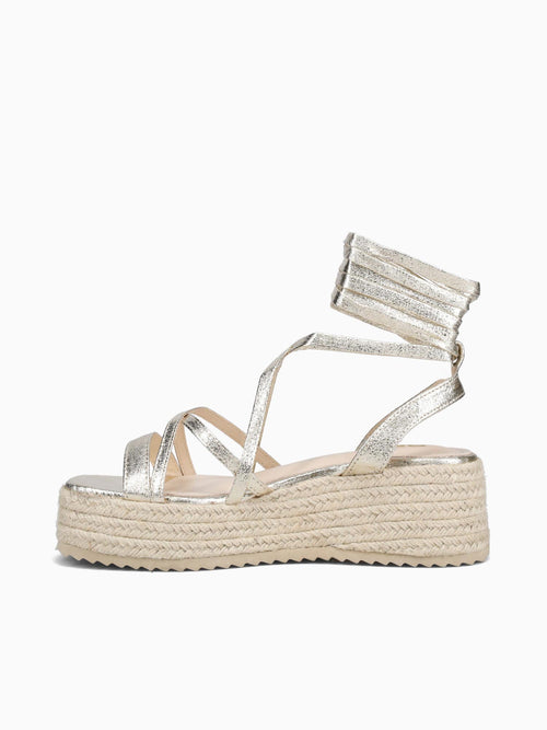 Avanna Gold Metallic Gold / 5 / M