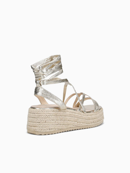 Avanna Gold Metallic Gold / 5 / M