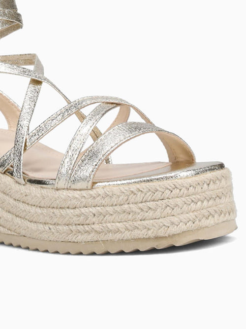 Avanna Gold Metallic Gold / 5 / M