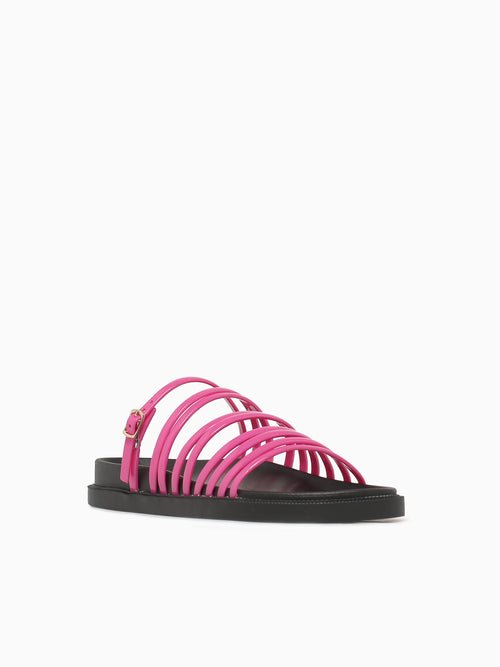 Cora Pink Jelly Pink / 5 / M