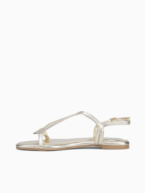 Penny Gold Metallic Gold / 5 / M