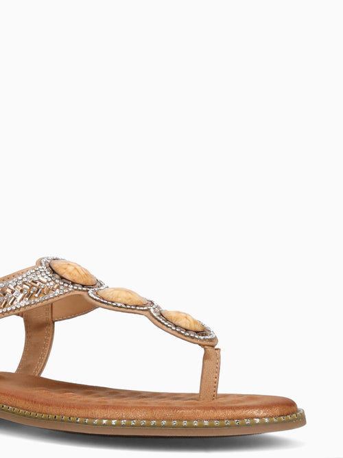 Aura Brown Smooth Brown / 5 / M