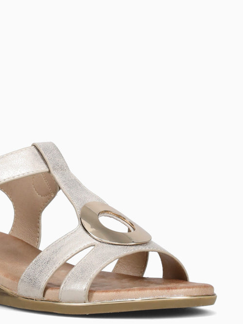 Maya Gold Smooth Gold / 5 / M