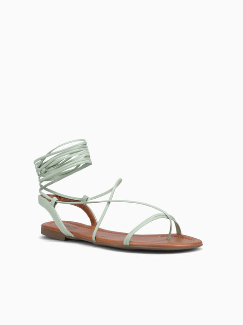 Molly Green Green / 5 / M