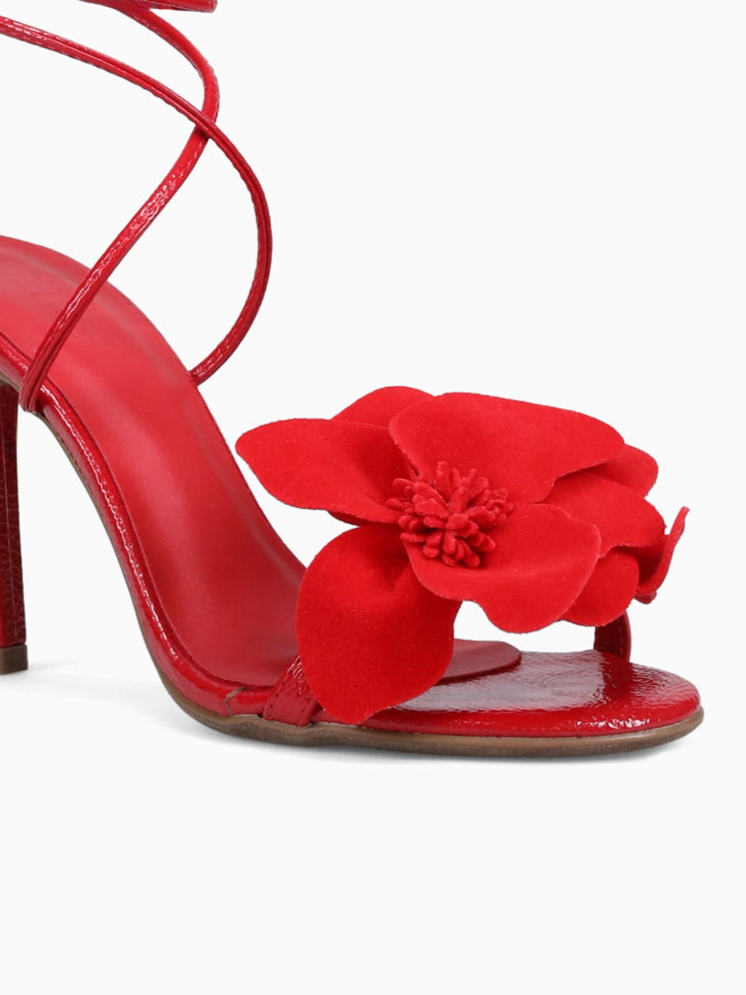 La Maga Ferrari Red / 5 / M