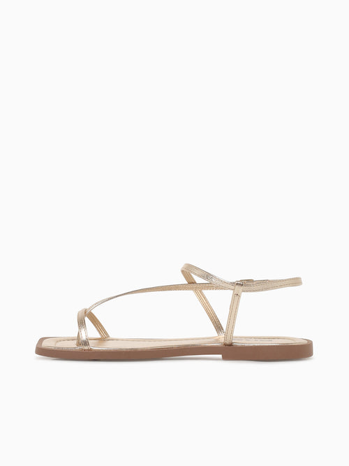 Lucila Gold Metallic Gold / 5 / M