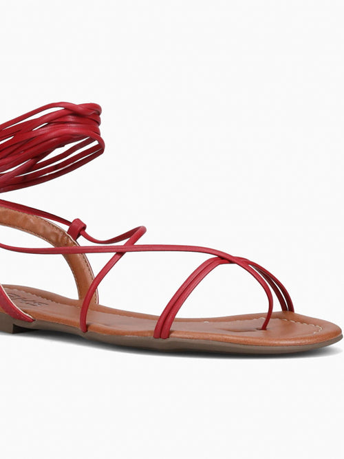 Molly Burgundy Wine / 5 / M