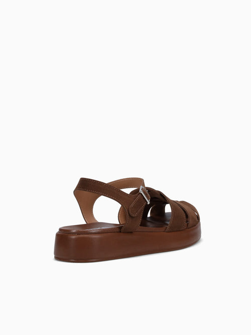 Ireline Marrom Bloom Brown / 5 / M