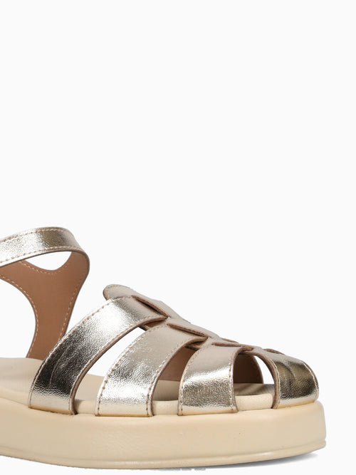 Ireline Ouro Prime Gold / 5 / M