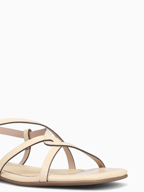 Cammie Butter Verniz Molhado Yellow / 5 / M