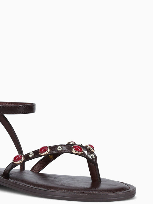 Sierra Coffee Smooth Brown / 5 / M