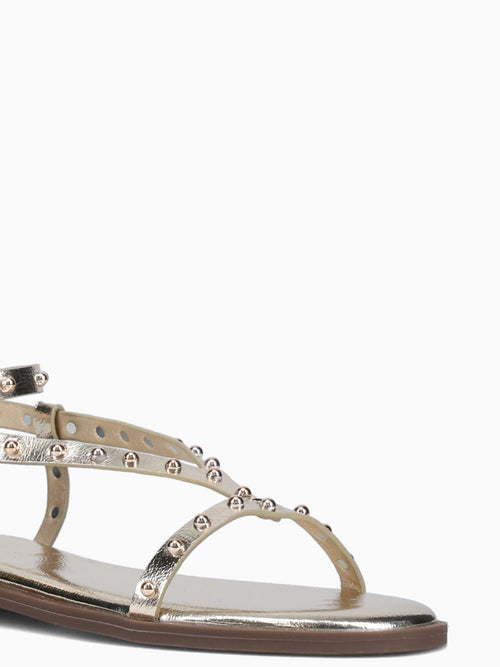 Aegina Gold Metallic Gold / 5 / M