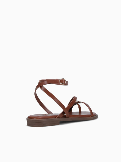 Gianny Brown Smooth Brown / 5 / M