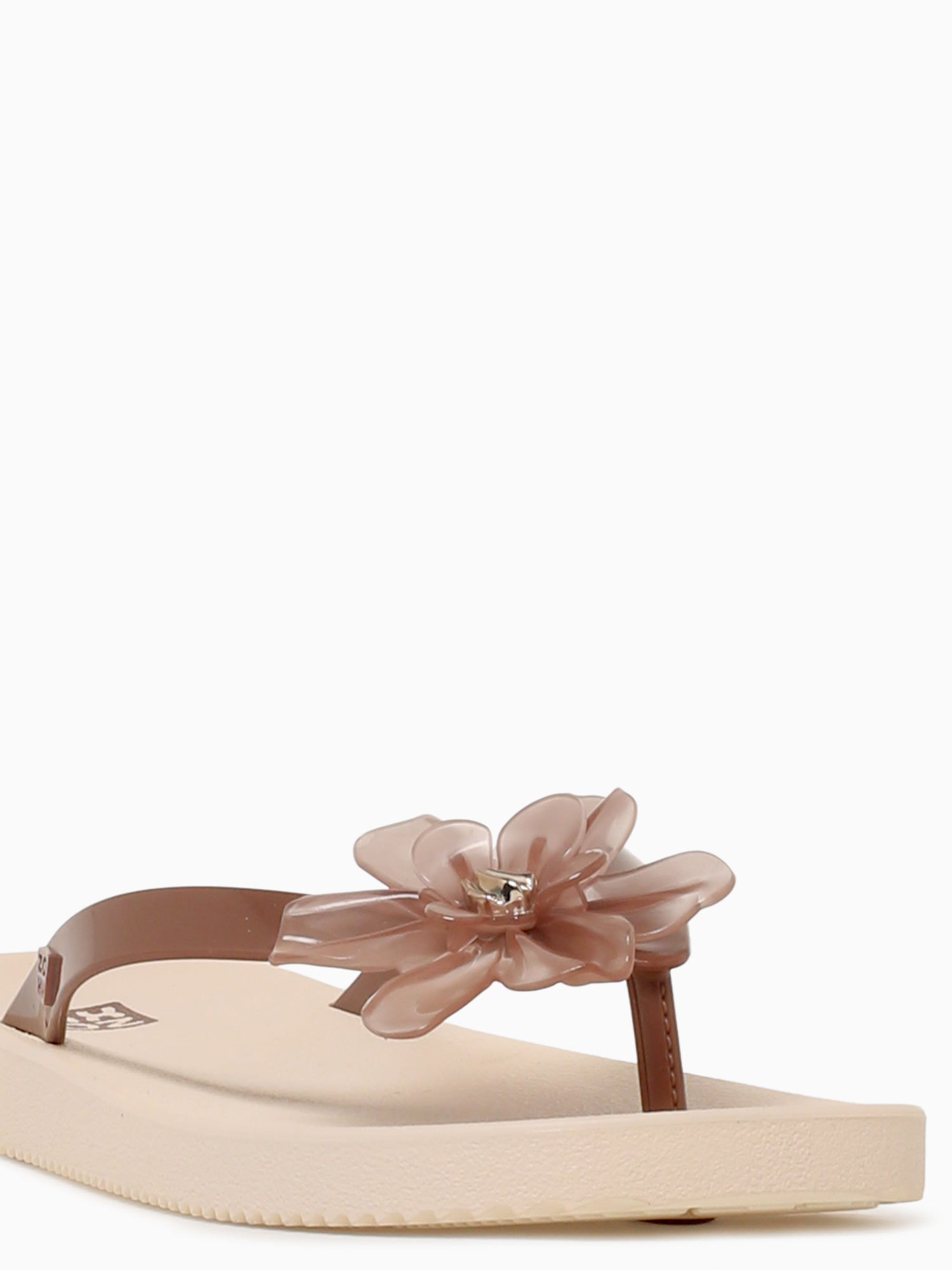 Zaxy Summer Coffee Brown jelly Brown Multi / 5 / M