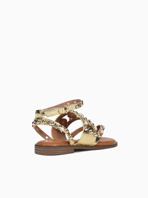 Aliya Gold Metallic Gold / 5 / M