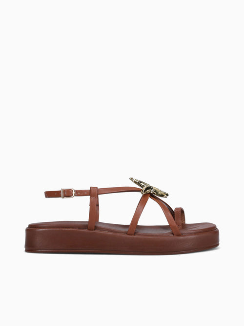 Aureline Marrom Ava Brown / 5 / M