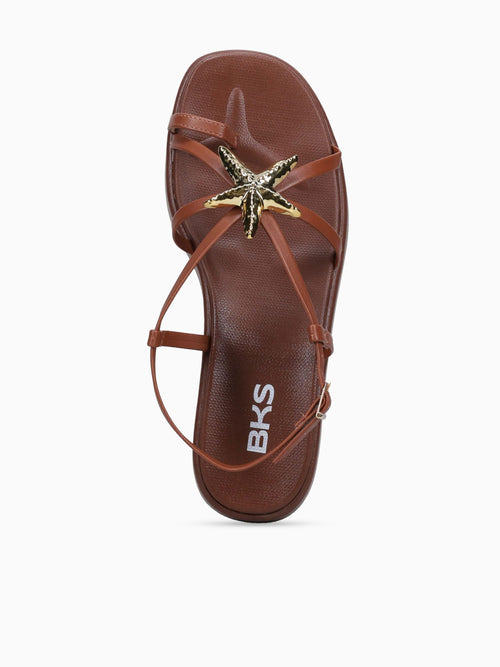 Aureline Marrom Ava Brown / 5 / M