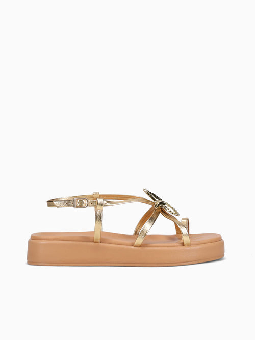 Aureline Ouro Estela Gold / 5 / M