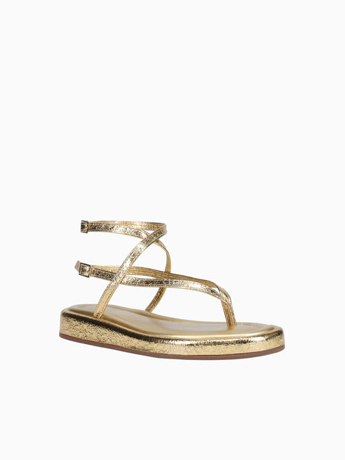 Sundara Ouro Metallic Gold / 5 / M