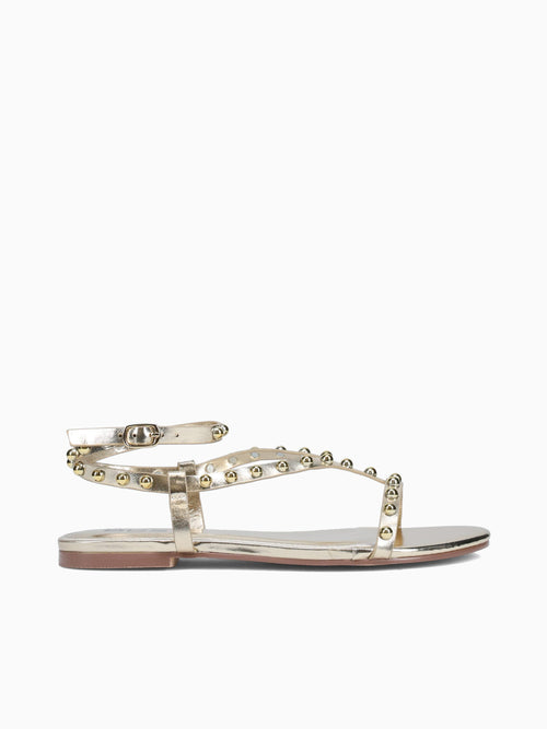Marge Gold Smooth Gold / 5 / M