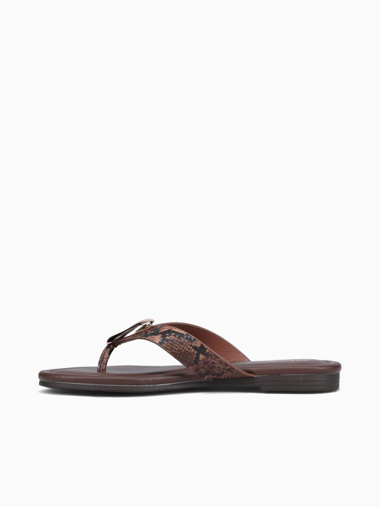 Aylin Brown Snake Brown / 5 / M