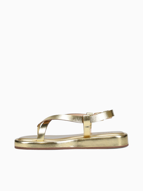 Kendelle Ouro Metalizado Gold / 5 / M