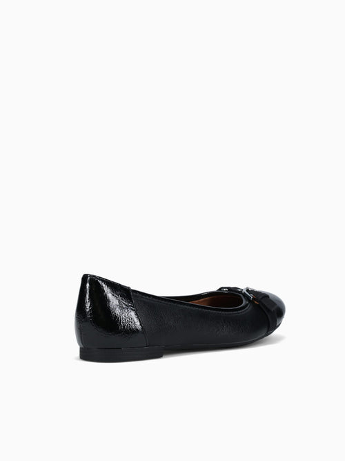 Taya Black Dalea Oleoso Black / 6 / M