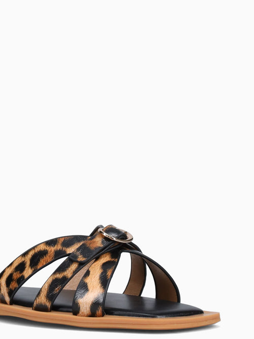 Riva Leopard Smooth Brown Multi / 5 / M