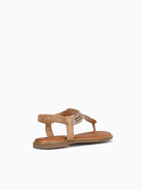 Aura Brown Smooth Brown / 5 / M