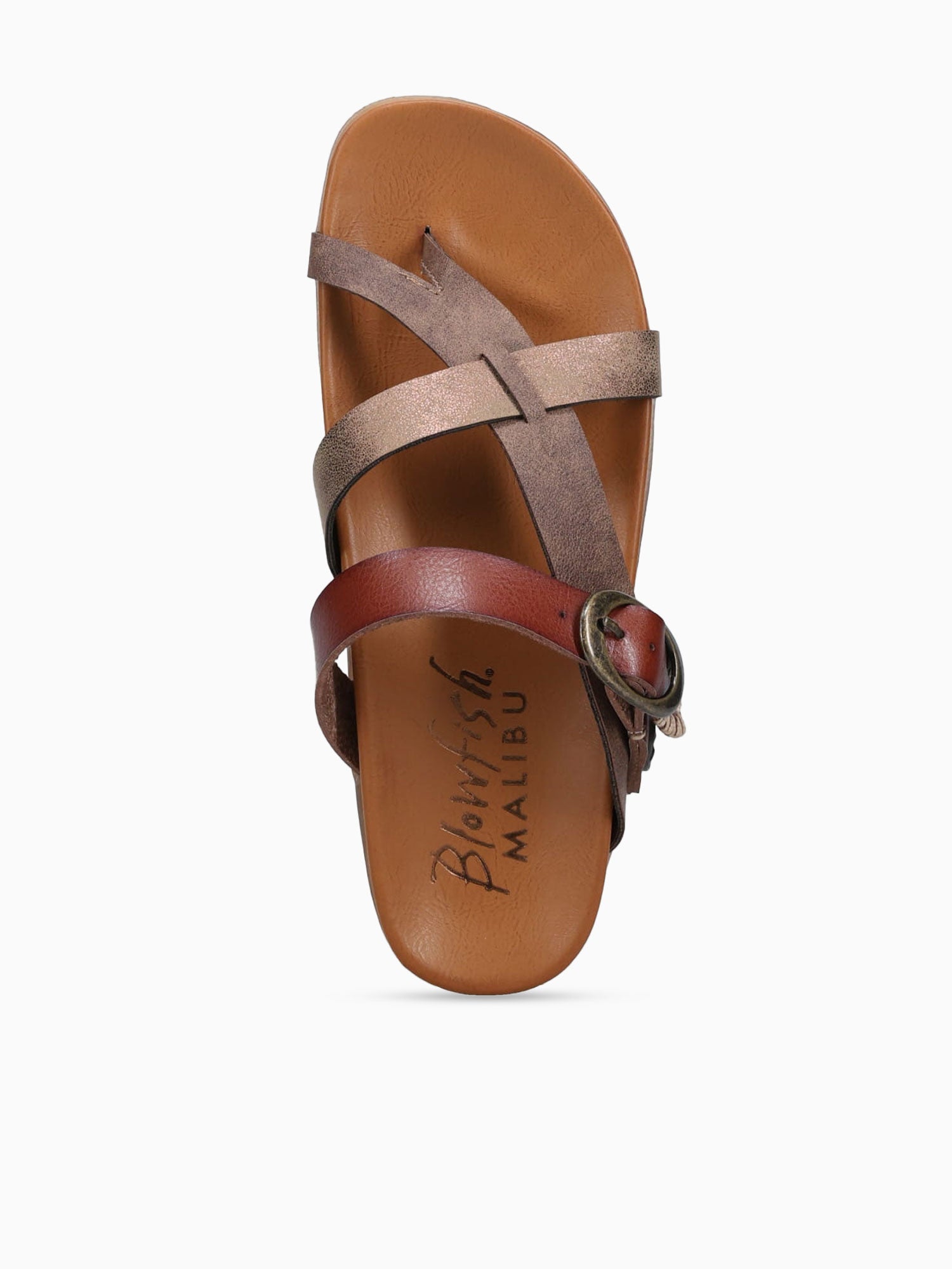 Lilac Walnut Brown / 5 / M