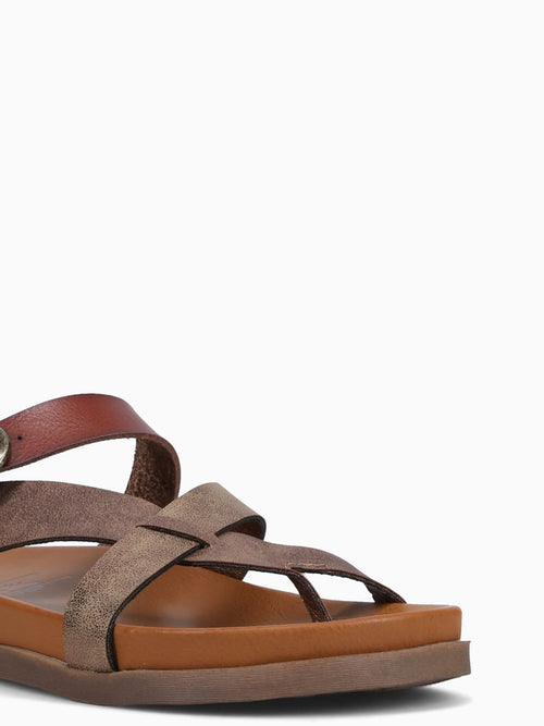 Lilac Walnut Brown / 5 / M