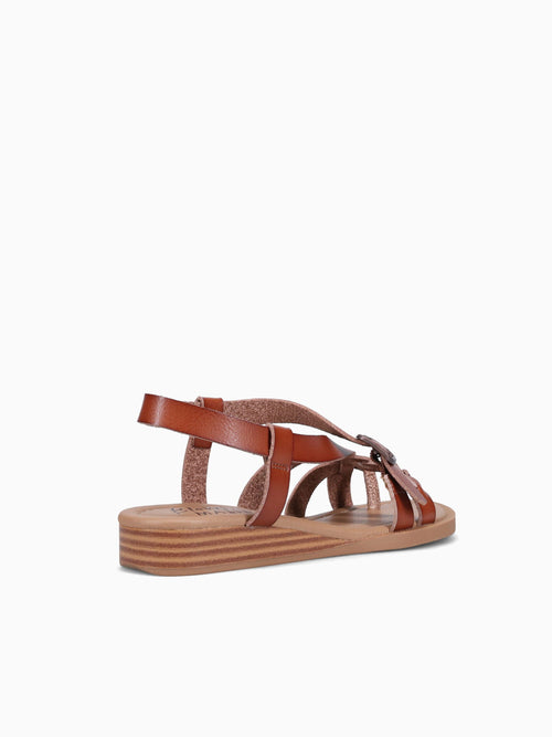 April Scotch Brown / 5 / M