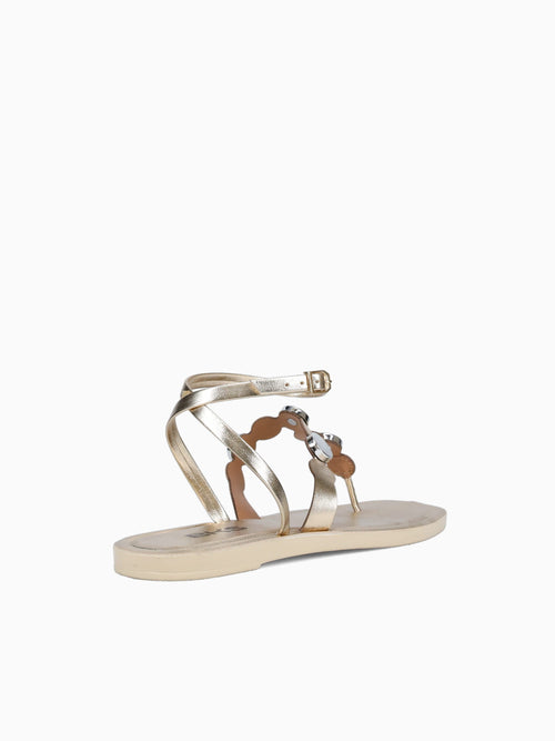 Isra Ouro Prime Gold / 5 / M