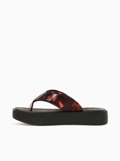 Trend New Ad Black Tortoise Shell Brown Multi / 5 / M