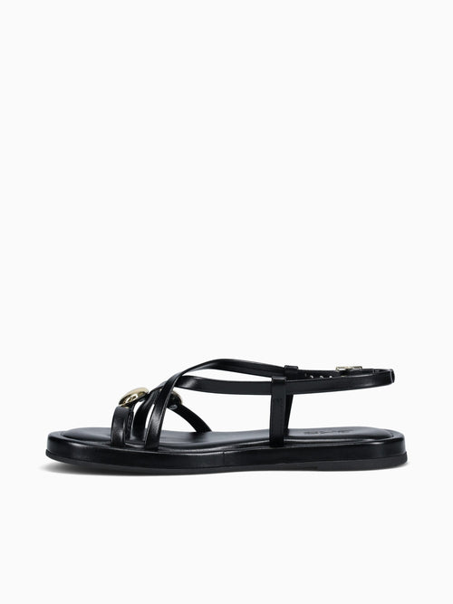 Miley Preto Intense Black / 5 / M