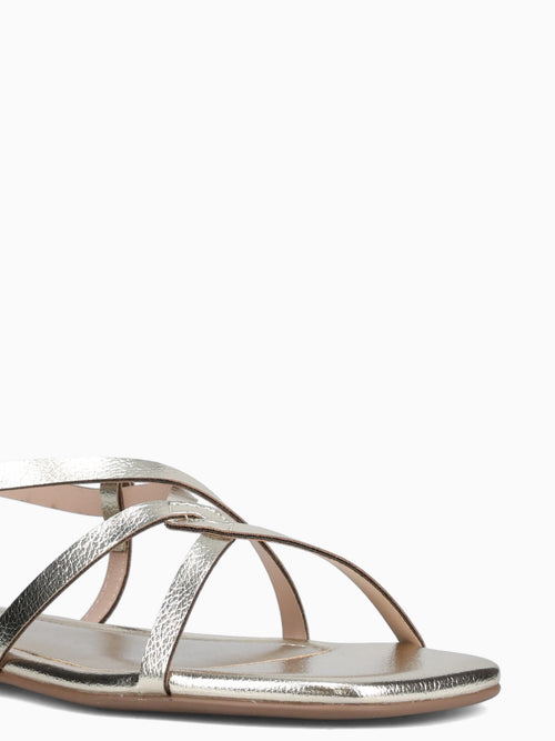 Cammie Ouro Light Floater Metalizado Gold / 5 / M