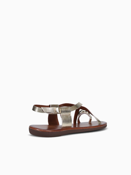 Teodora Oro Morgan Gold / 5 / M