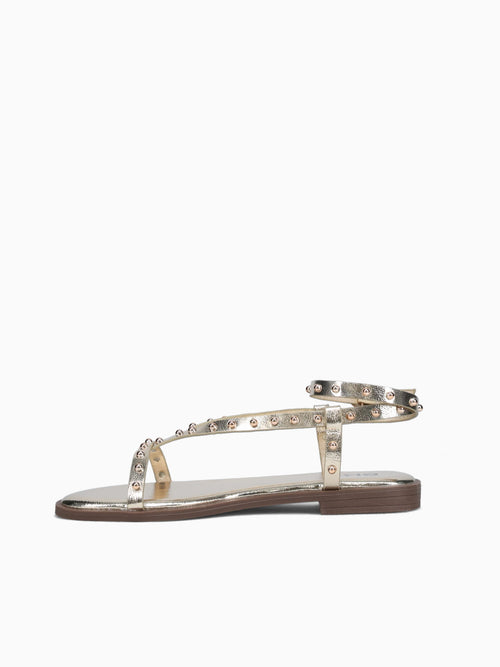 Aegina Gold Metallic Gold / 5 / M