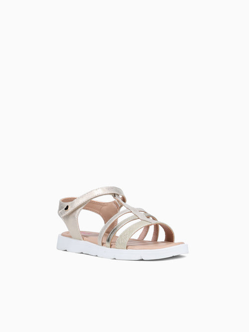 Emberly Gold Metallic Gold / 1 / M