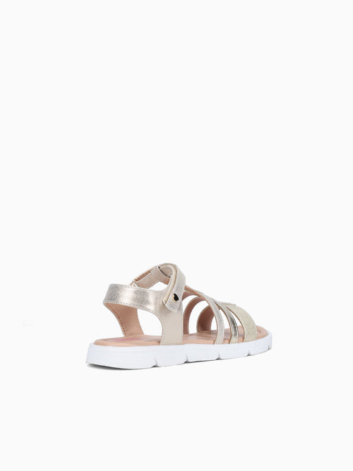 Emberly Gold Metallic Gold / 1 / M