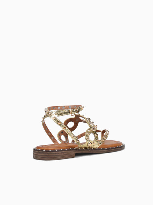 Katya Gold Smooth Gold / 5 / M