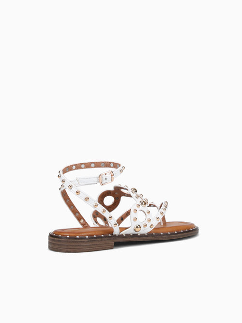 Katya White Smooth White / 5 / M
