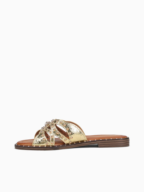 Maxine Gold Smooth Gold / 5 / M